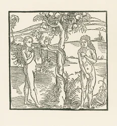 De val. Illustratie bij " Der Ritter von Turn " , c.1493-93 (houtsnede)