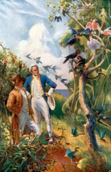 Captain Cook bij Botany Bay (kleurenlitho)