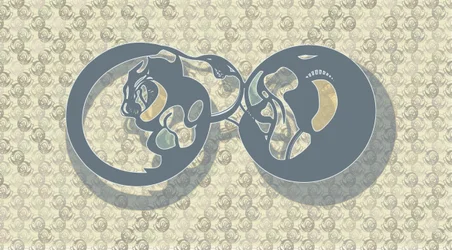 Samenvatting: Feline Infinity