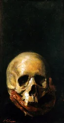 De Schedel