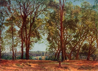 In het Aricci Park, 1830s, 1965