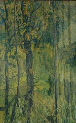 Moerasbos, 1917