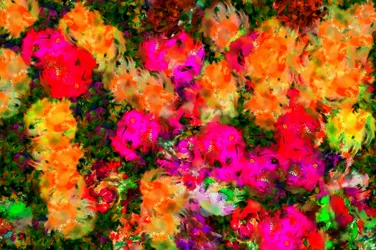 Grasveld