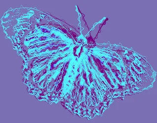Vlinder
