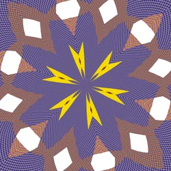 Constellaties, 2019