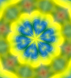 bloemen #62