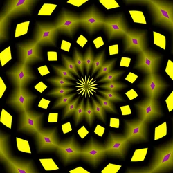 bloemen #5