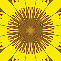 Geometrie