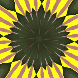 zonnebloem