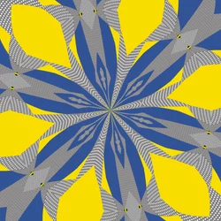 symmetrie #8