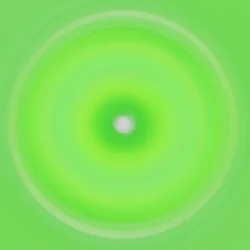 Zonder titel, 2019