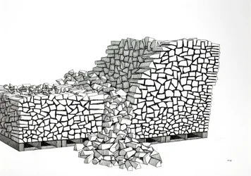 Brandhout pallets (Instorting)