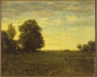 Een weide met bomen