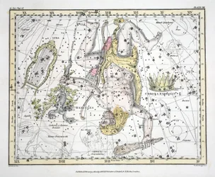 De sterrenbeelden (Plaat VIII) Coronoa Borealis, Hercules en Cerberus, Lyra, uit 