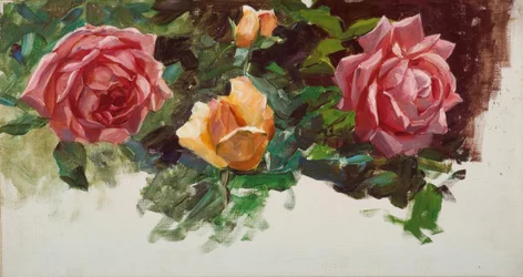 A. Koester, rozenstudie