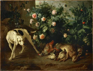 Hond die wild bewaakt bij een rozenstruik - Chien gardant du gibier aupres d