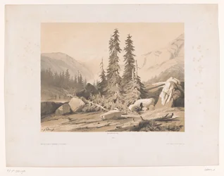 Berglandschap met sparren en berggeiten