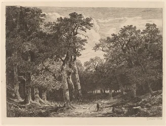 Koppel in een open plek