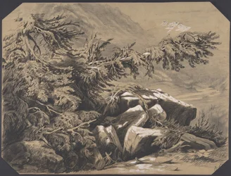 Bossen en bergen