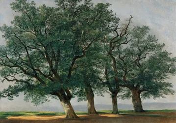 Vier Grote Bomen