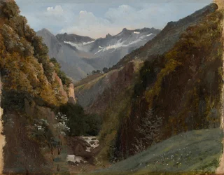 Hooggebergtevallei in de Berner Alpen