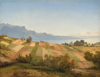 Zwitserlandschap