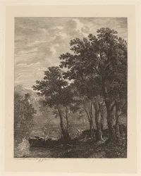 Bomen bij een rivier