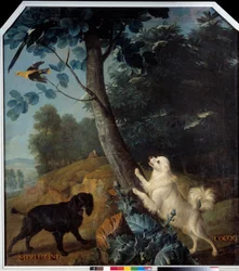Merluzine en Cocoq, de honden van Lodewijk XIV (1638-1715). Schilderij door François Desportes (1661-1743)