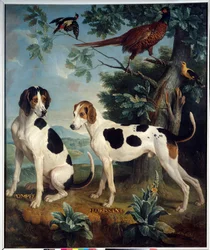 Pompee en Florissant, de honden van Lodewijk XIV (1638-1715). Schilderij van François Desportes (1661-1743)