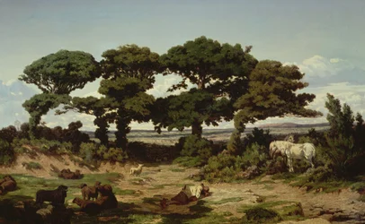 De eiken van Kertregonnec