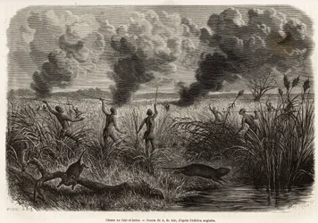 De Bongo-stam jaagt de rat uit het riet (voor naturalisten: aulacode), zodra ze de plaats spotten waar de knaagdieren leven, wordt er vuur gestoken aan het droge gras rond hun huisje, totdat de beesten, gedwongen te vluchten, zich aan de jagers presenteren