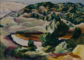 Korolkovskiye Dachas. Vijver in de heuvels, 1918