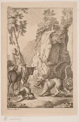 De jonge leeuw en de aap