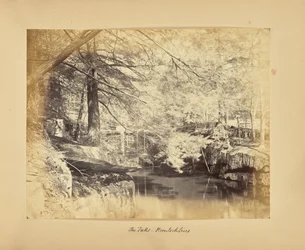 De watervallen - Hemlockbomen