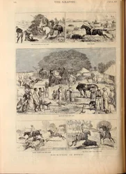 Varkensjacht in Bengalen