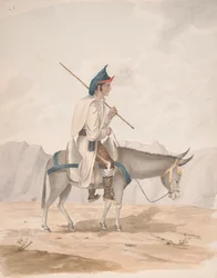Grote Canarische Man op een Ezel