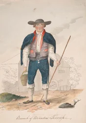 Boer van Miradero, Tenerife