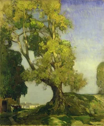 Zomerlandschap