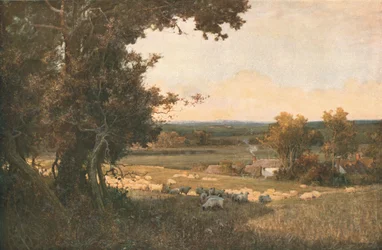 De gouden vallei