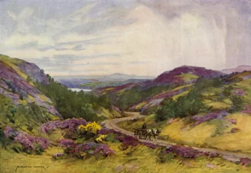 Denemarken: Raebild Heuvels, nabij Aalborg