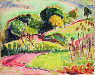 Landschap met heuvels