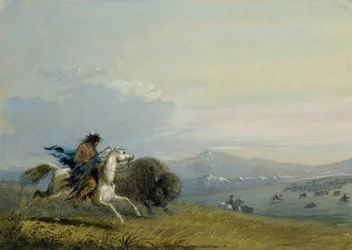 Pawnee-rennende buffel