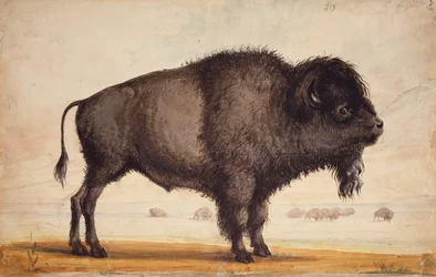 De bries ruiken, ca. 1837