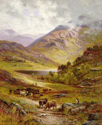 Longhorn vee in een bergachtig landschap