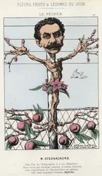 De Perzikboom: Cartoon over Steenackers - ill. van 30/01/1871 in 