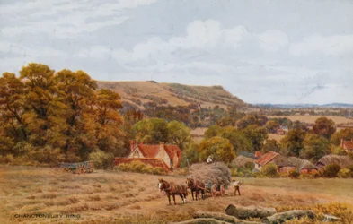 Chanctonbury Ring bij Worthing