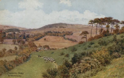 Cissbury Ring bij Worthing