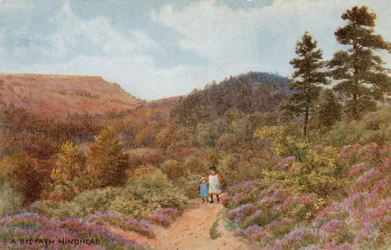 Hindhead