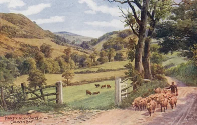 Nant Y Glyn Valley, Colwyn Bay (kleurenlitho)