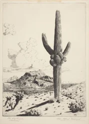 De Wacht (Sahuaro)